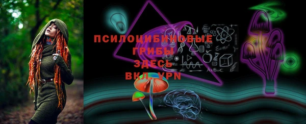 соль ск Алзамай
