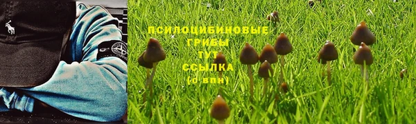 синтетический гашиш Семёнов