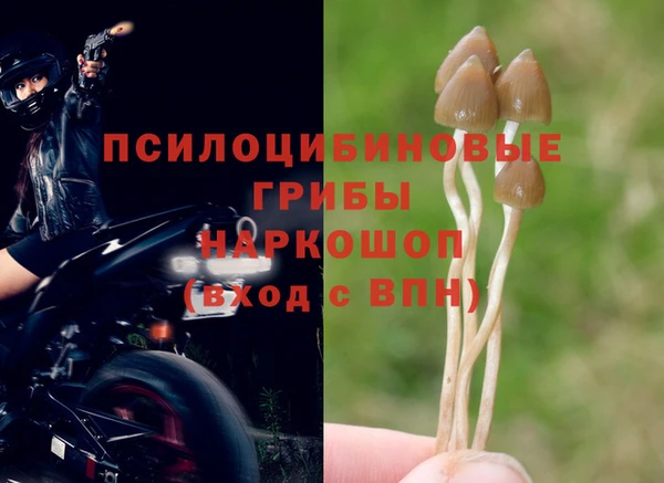 синтетический гашиш Семёнов