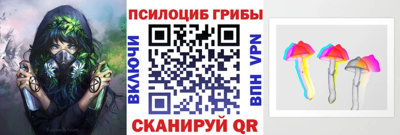 как найти   Наволоки  Псилоцибиновые грибы Cubensis 